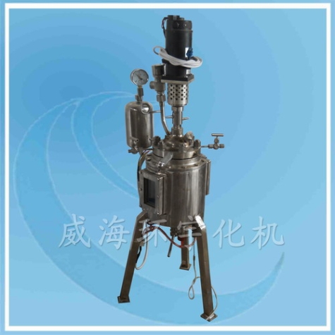天津SS316L+Glass Reactor