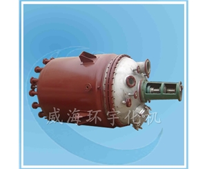 天津800L反應(yīng)釜