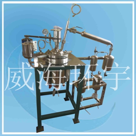 天津3L聚醚釜帶支架