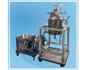 天津20L反應釜配循環(huán)槽