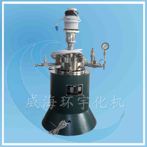 天津襯四氟實驗釜