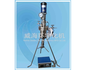 天津1L小型反應(yīng)釜配快開閥門