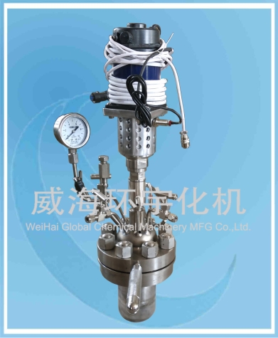 天津0.5L 微型反應(yīng)釜