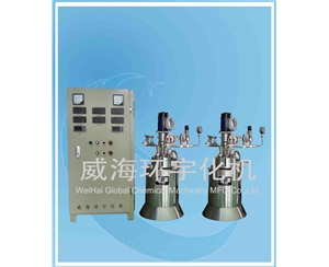 天津1L 不銹鋼高壓反應(yīng)釜