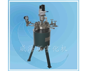 天津1L反應(yīng)釜
