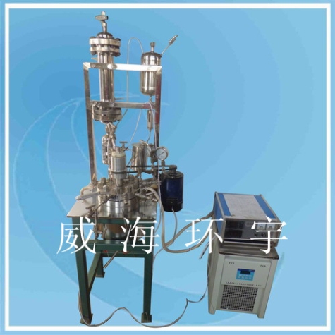 天津Reactor with Recirculating tank