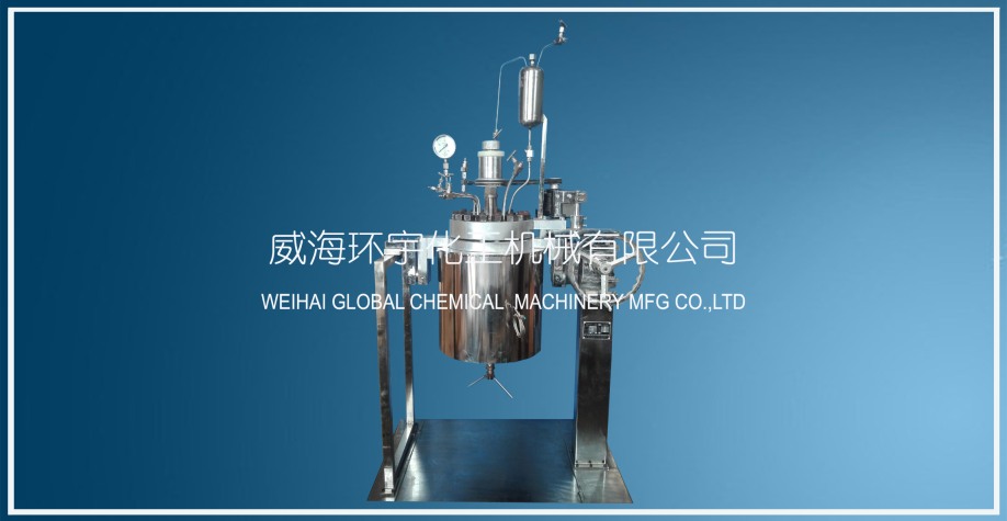 天津10L  Lift and Flip Reactor