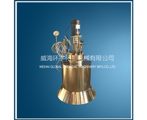 天津1L不銹鋼襯鈦反應(yīng)釜