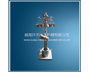 天津mini快開升降反應(yīng)釜