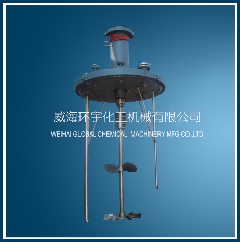 天津推進(jìn)式+斜葉圓盤渦輪攪拌器