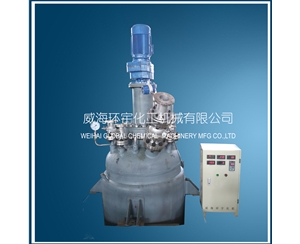 天津噴涂四氟反應(yīng)釜