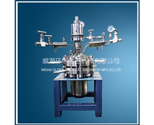 天津inconel英科耐爾2L反應(yīng)釜